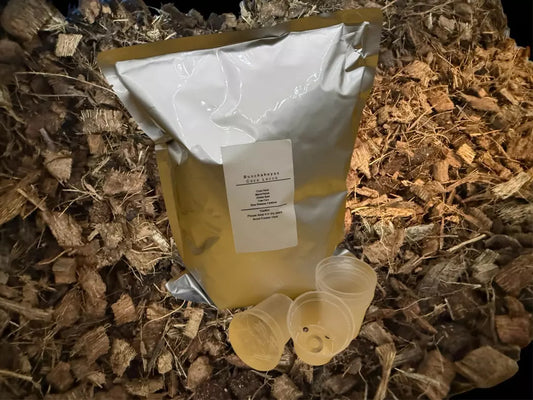 1 Gallon Bag Coco Locco Hoya Mix with Free Pots