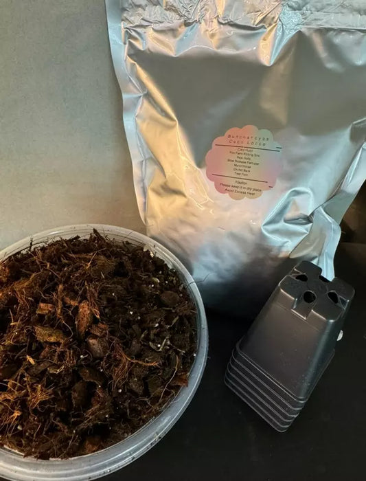 1 Gallon Bag Coco Locco Hoya Mix with Free Pots